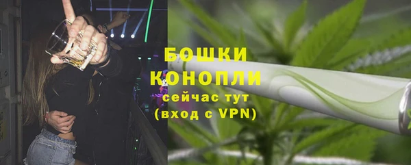 шишки Балабаново