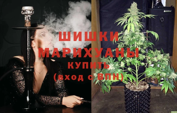 шишки Балабаново