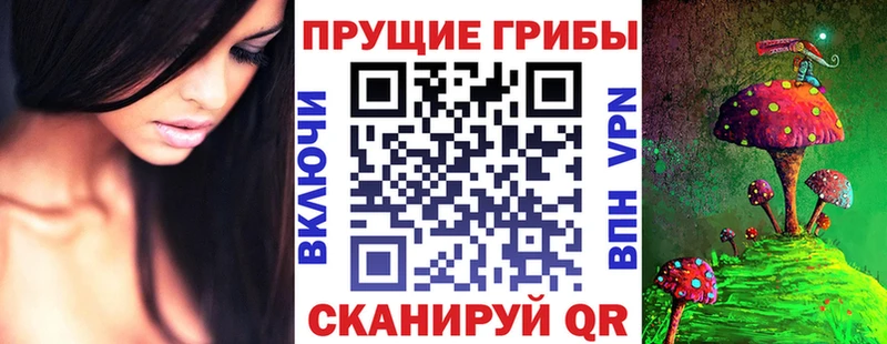 Галлюциногенные грибы Psilocybine cubensis  Озёры 